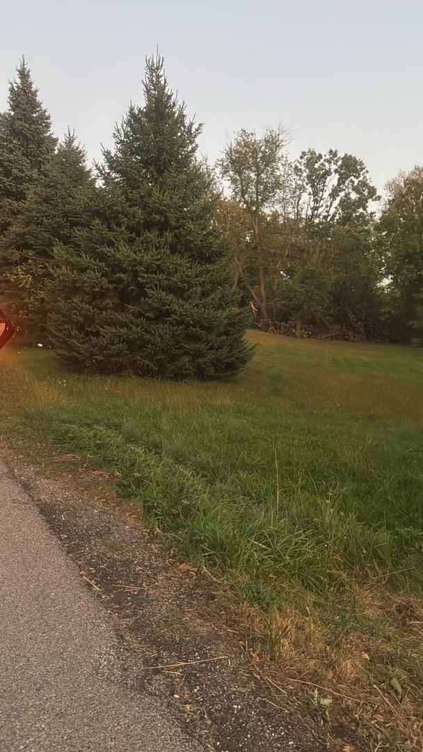 0 South Road Fox River Grove, IL 60021 - Photo 3 of 5