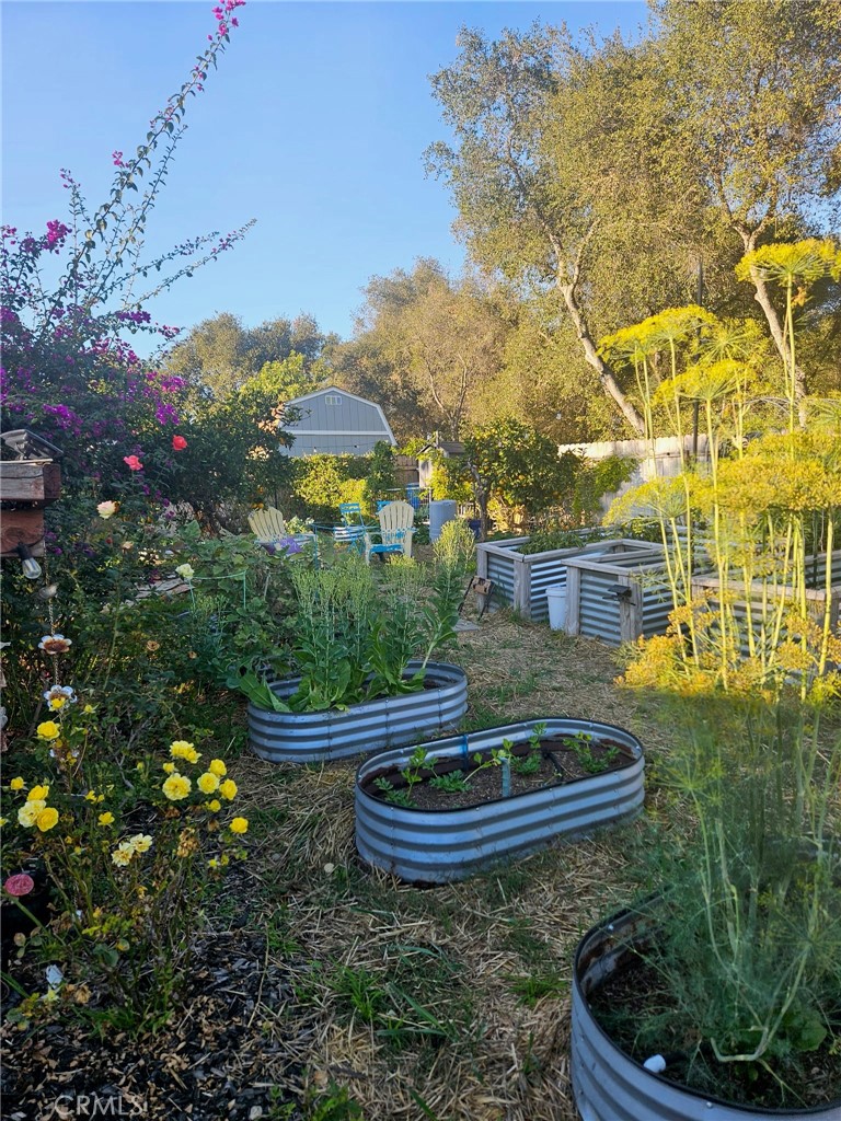 3909 Reche Road, Unit 112 Fallbrook, CA 92028 - Photo 7 of 9 Gardens