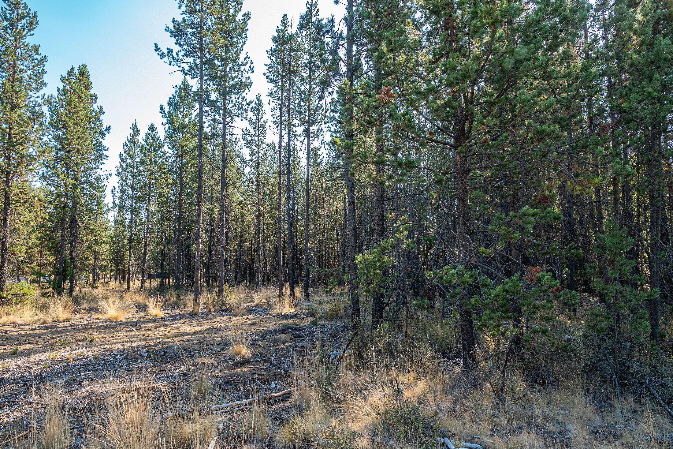 17141 Bakersfield Road Bend, OR 97707 - Photo 9 of 15 009