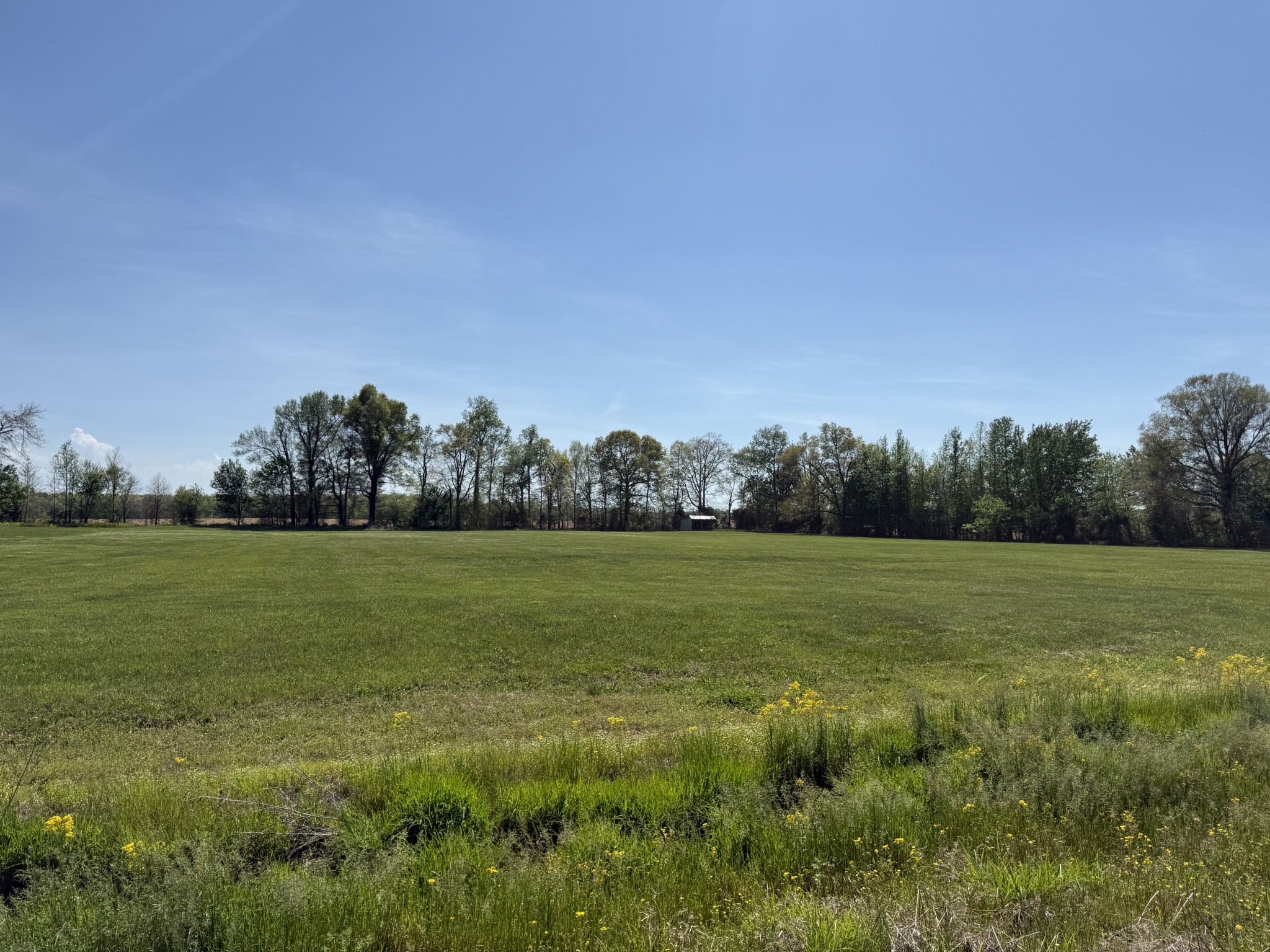 1247 Myrtle Road Bradyville, TN 37026 - Photo 34 of 44