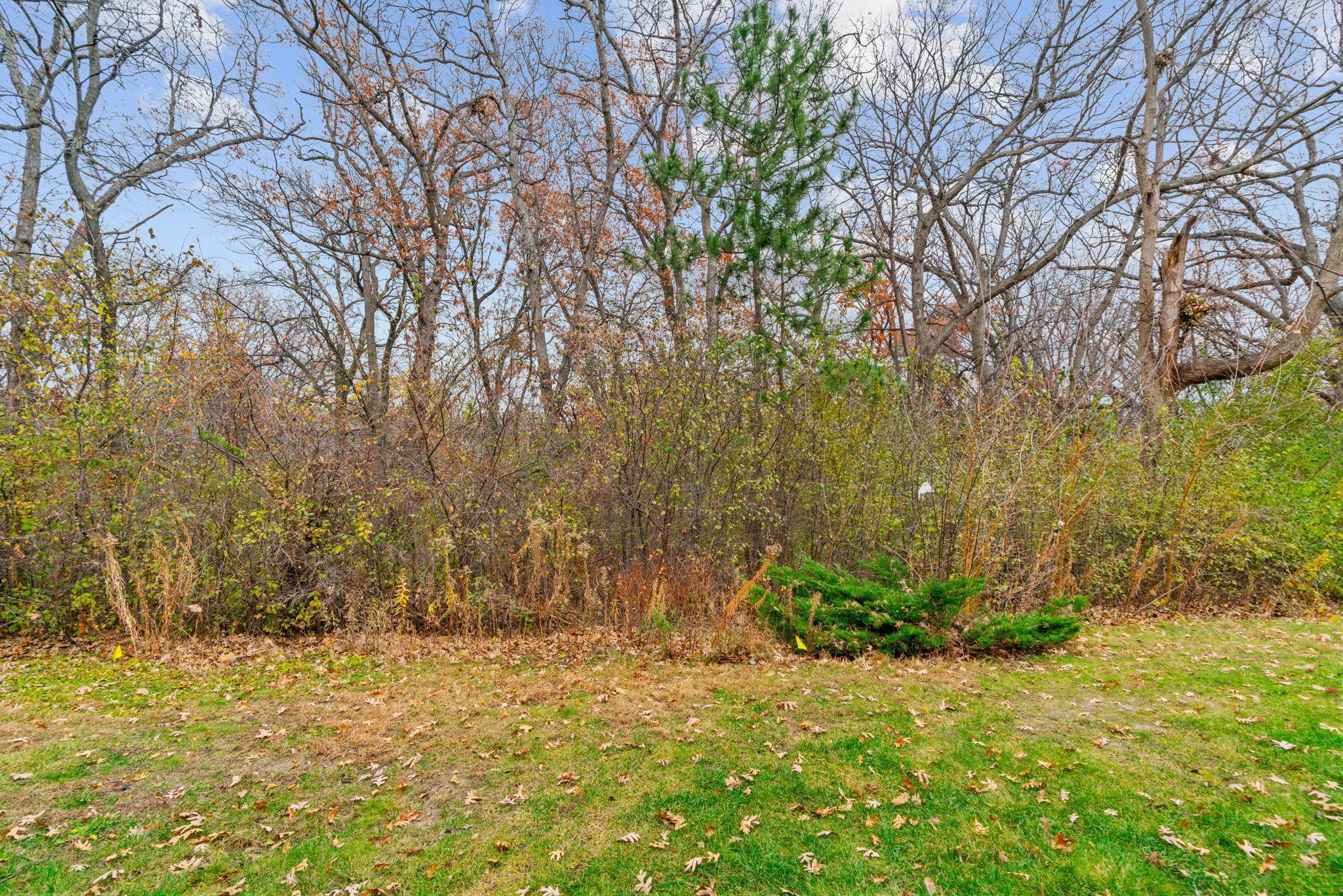 7504 Germane Trail Apple Valley, MN 55124 - Photo 5 of 19