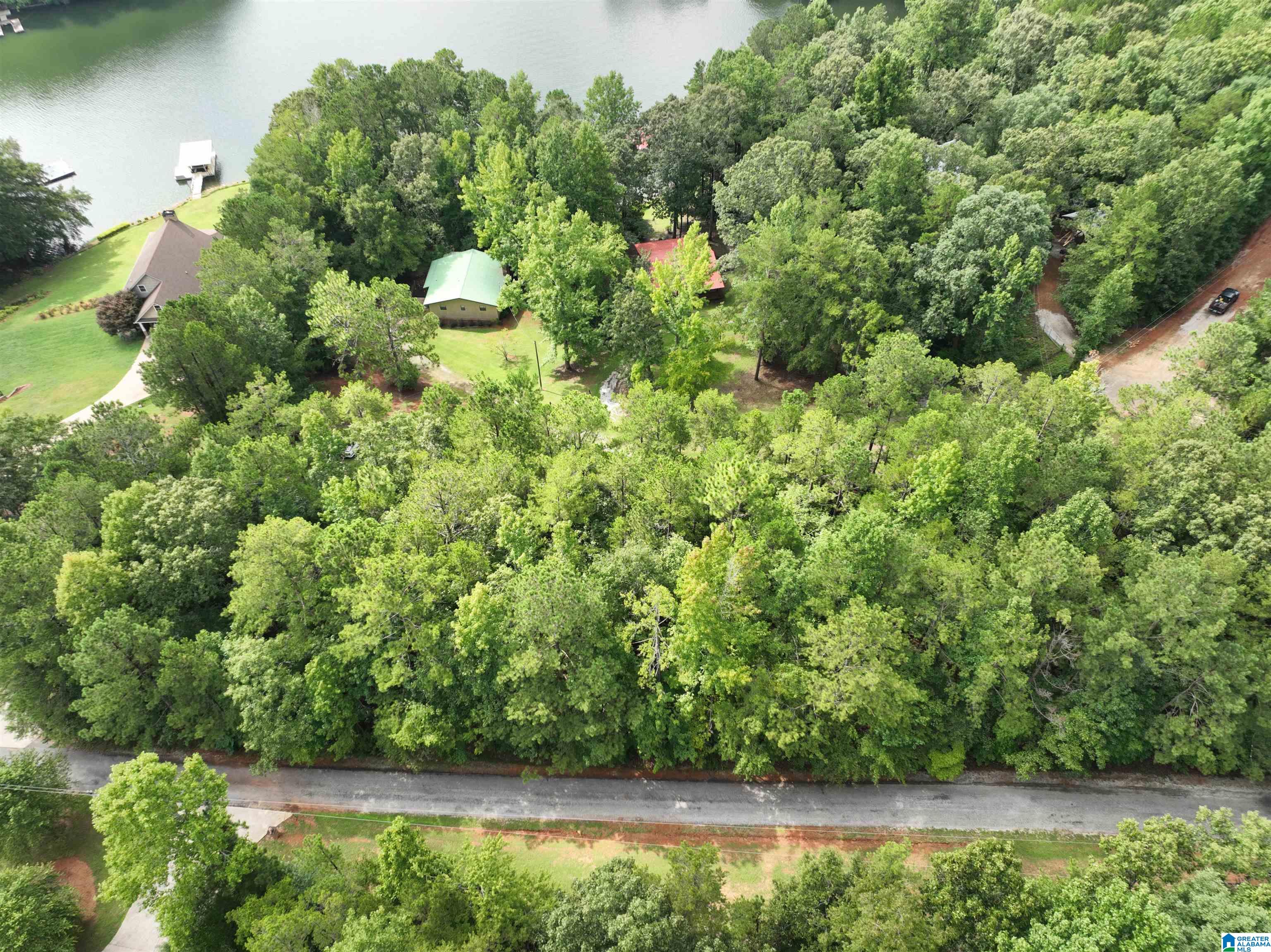 183 Swagg Cove Road Wedowee, AL 36278 - Photo 6 of 20