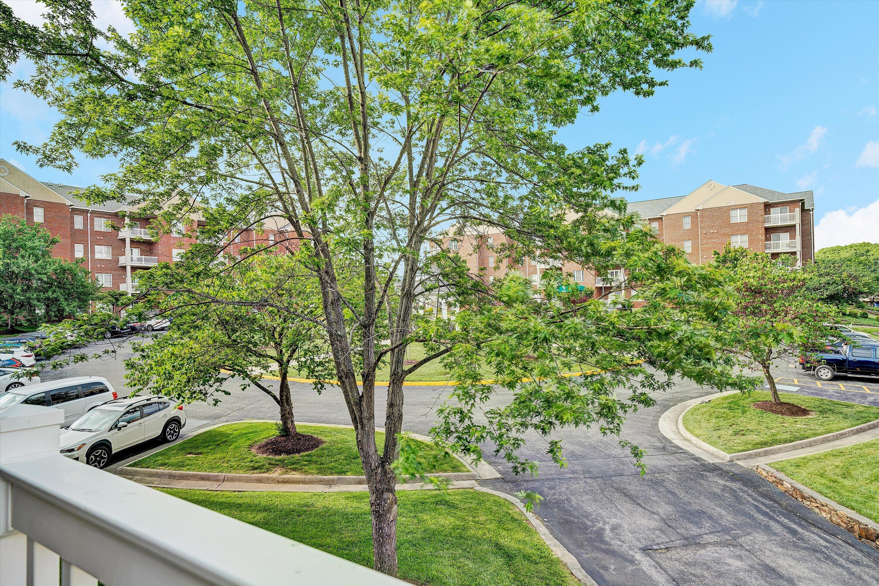 4438 Pheasant Ridge Road, Unit 202 Roanoke, VA 24014 - Photo 40 of 50 33-SGP-03026