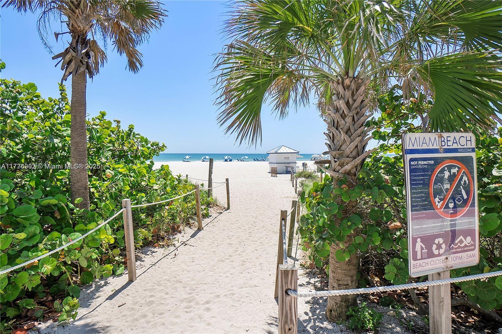 6000 Collins Avenue, Unit 326 Miami Beach, FL 33140 - Photo 39 of 45 a view of a street with a tree