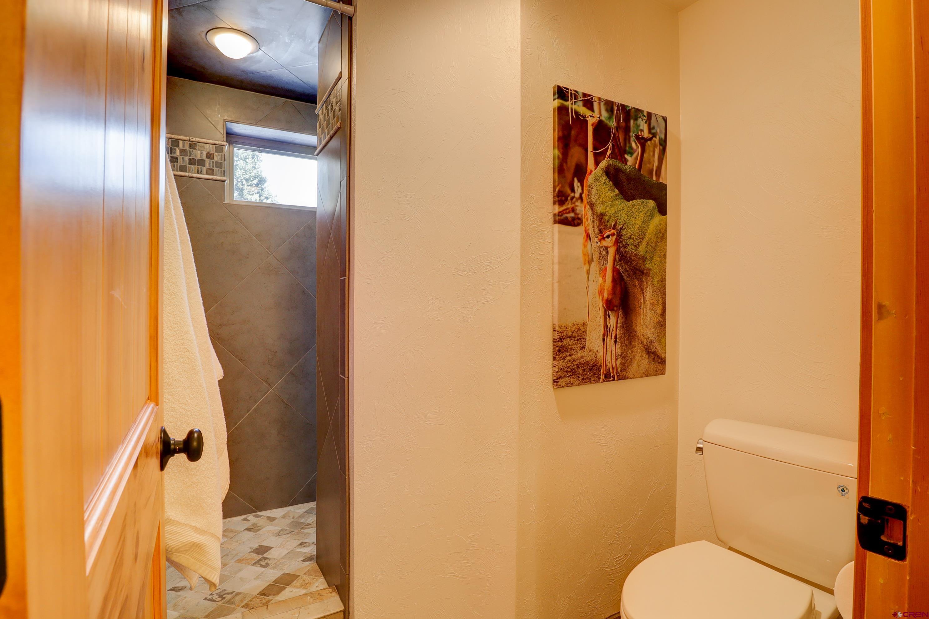 25112 Road 38.1 Dolores, CO 81323 - Photo 16 of 35 a bathroom with a toilet and a shower curtain