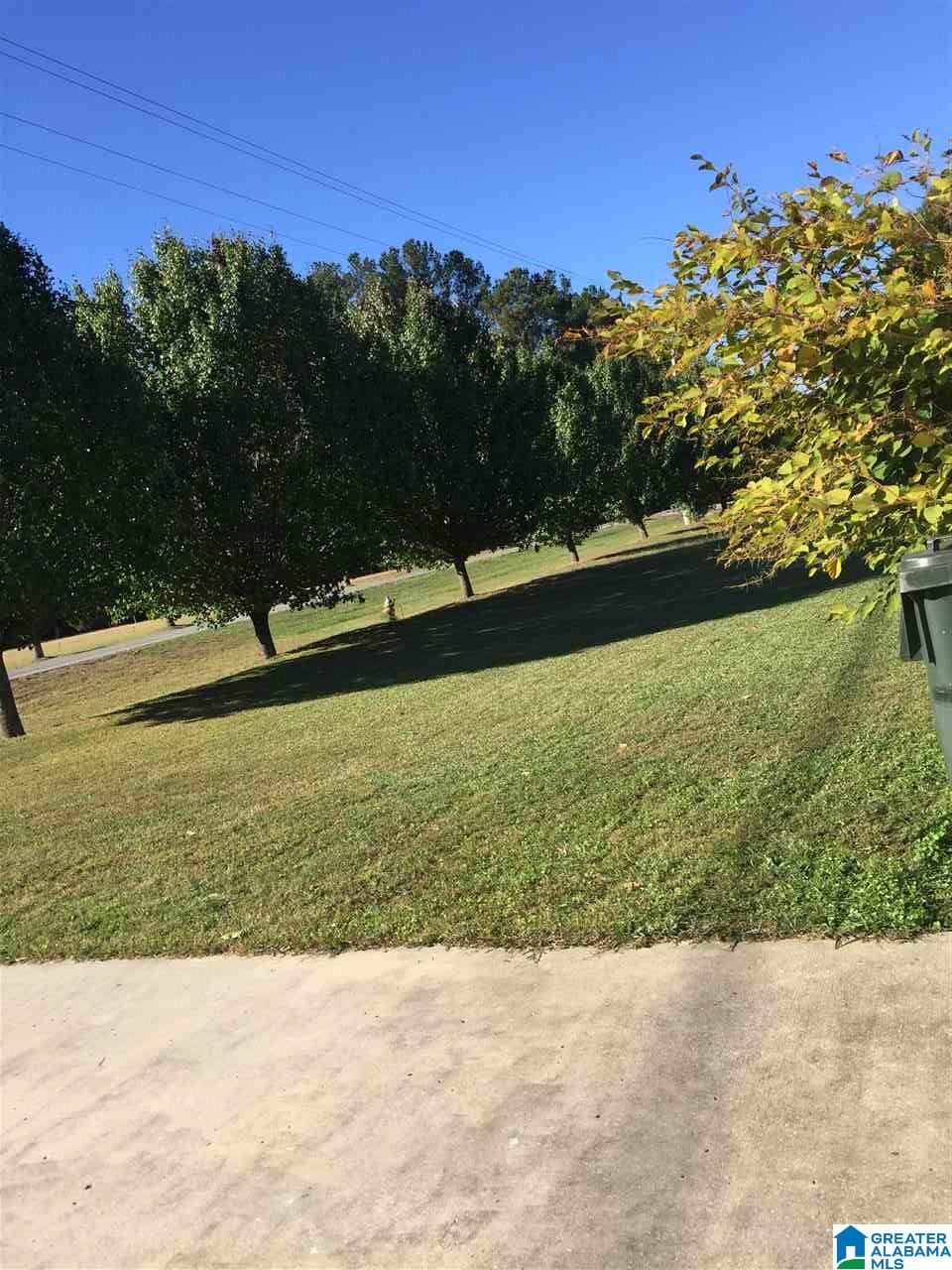 1810 Edwin Street Scottsboro, AL 35768 - Photo 28 of 32