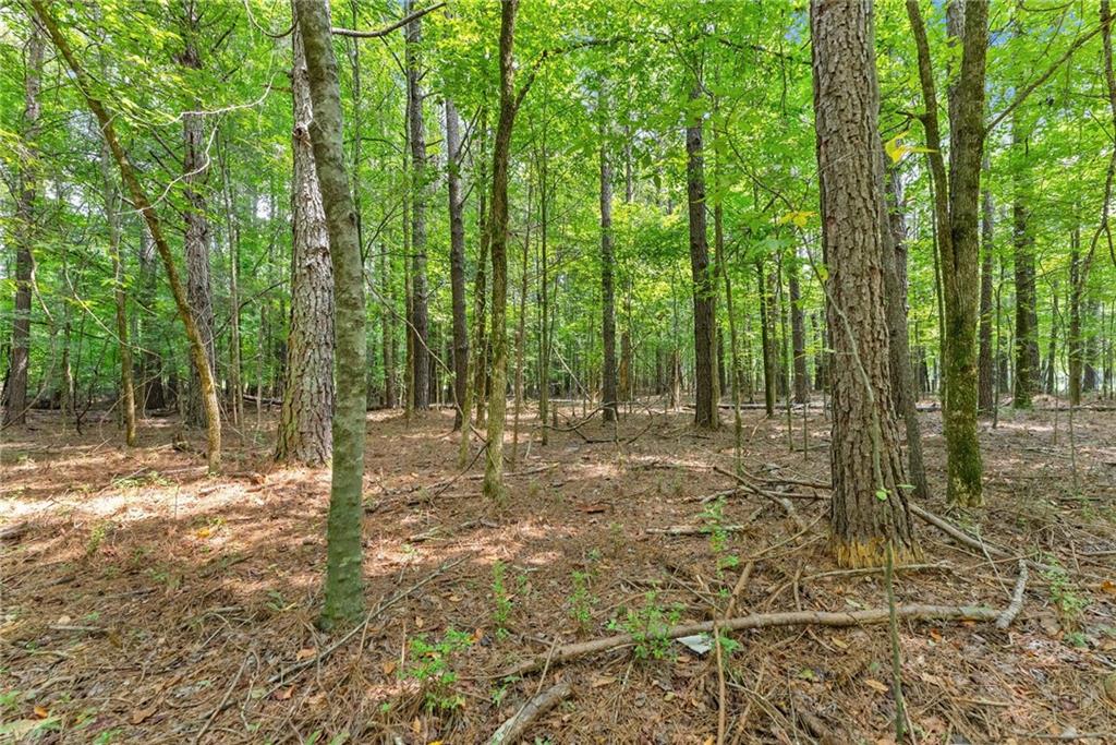 1097 Doster Road Jefferson, GA 30549 - Photo 34 of 36 Gallery Image 34