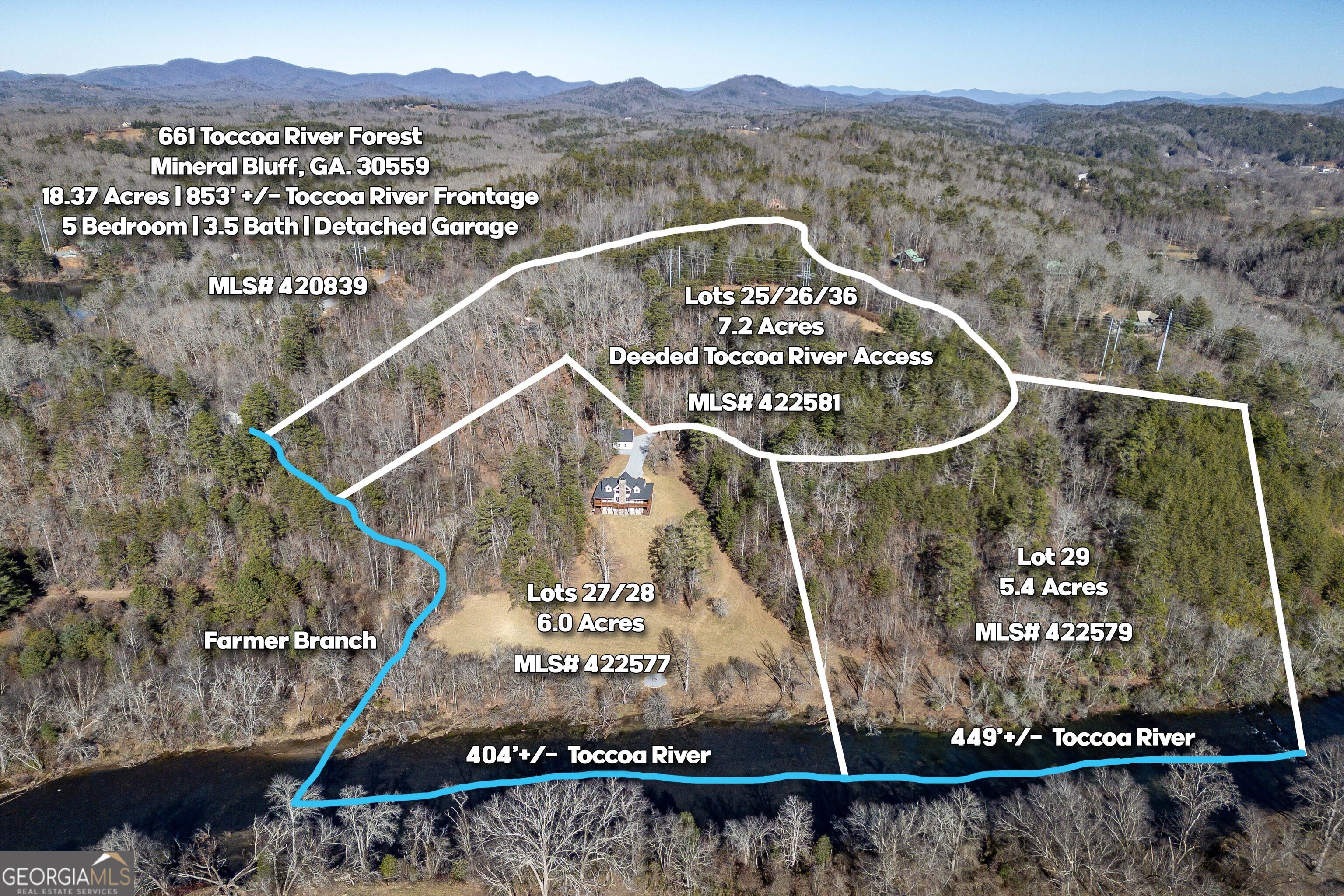 661 North Toccoa River Road Mineral Bluff, GA 30559 - Photo 5 of 68