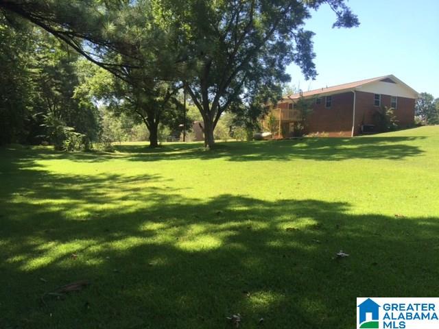 144 Highway 19 Montevallo Al Montevallo, AL 35115 - Photo 3 of 24