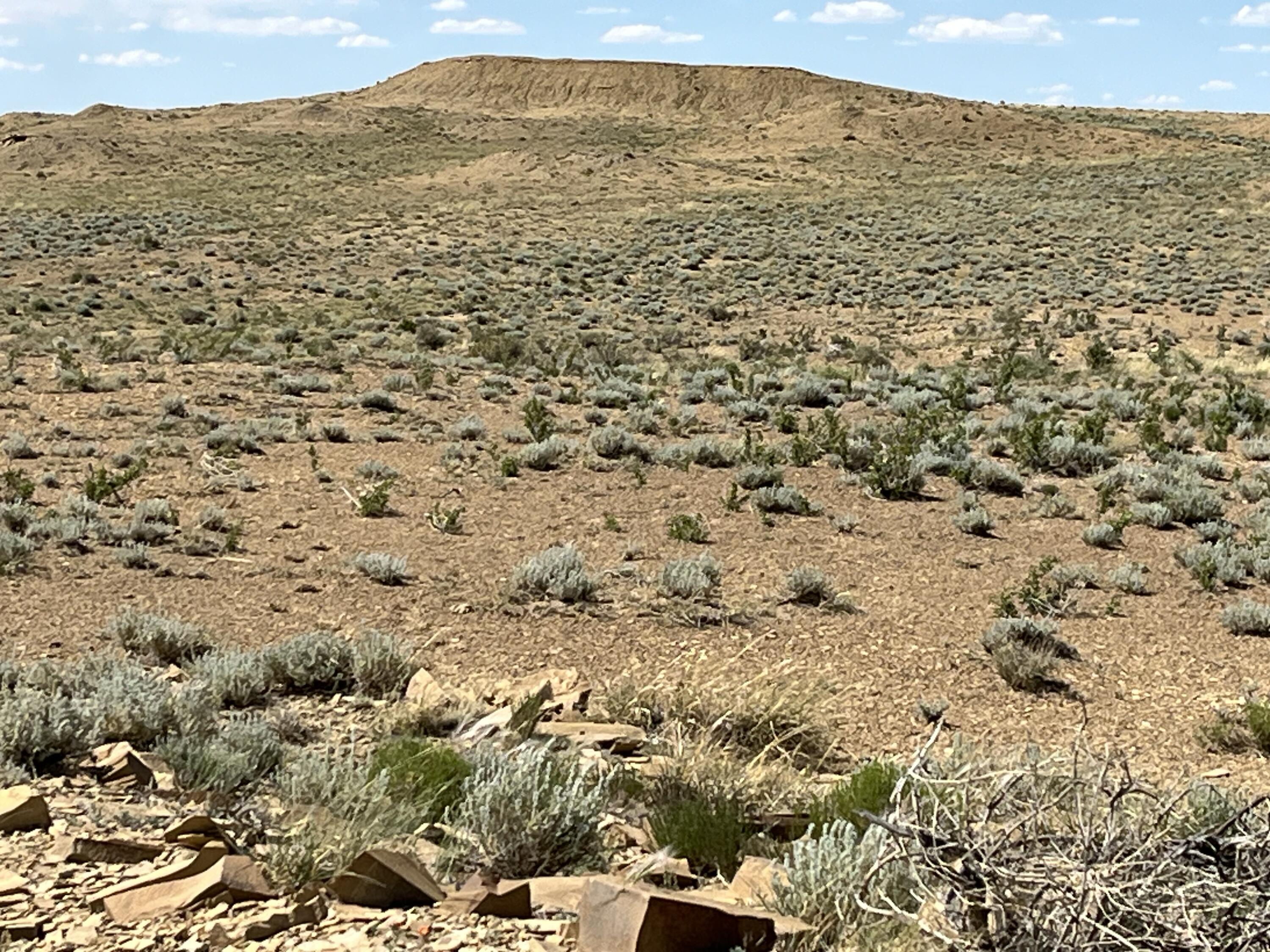 3191 West W Route Crownpoint, NM 87313 - Photo 30 of 34 Gallery Image 30