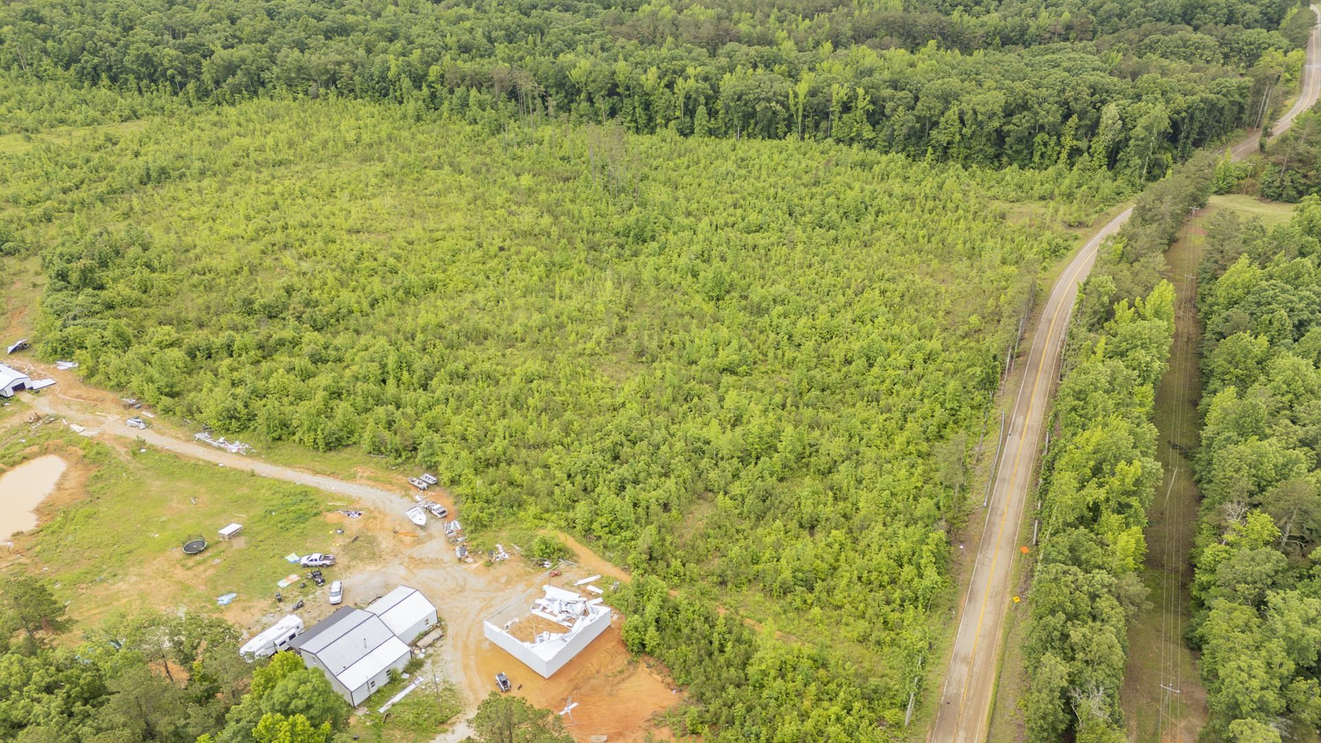0 Leapwood Enville Road Adamsville, TN 38310 - Photo 16 of 38 a view of a yard with plants and large trees