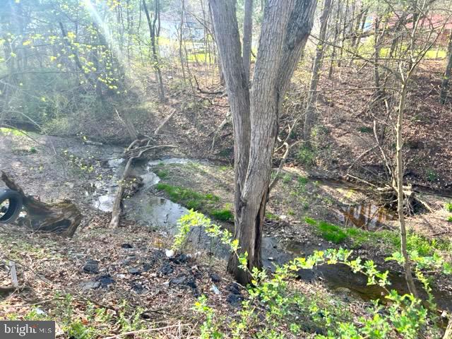 1990 Fair Road Summit Station, PA 17972 - Photo 15 of 16 Back yard