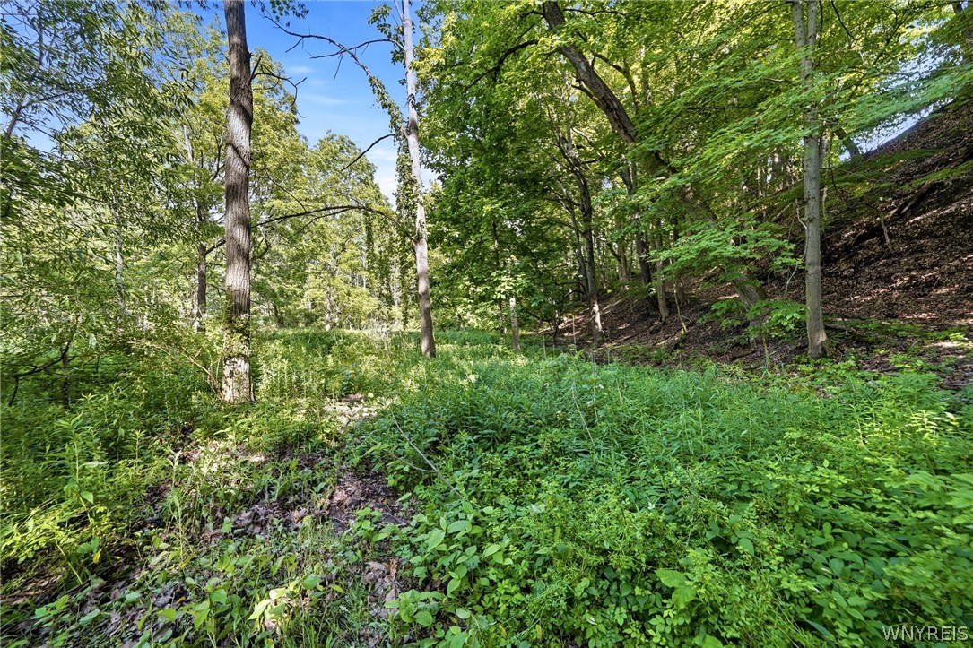1536 South Creek Road Evans, NY 14047 - Photo 41 of 50