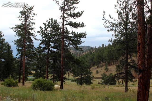 1150 Forest Service 200 Rd Lake Lake George, CO 80827 - Photo 5 of 26 Gallery Image 5