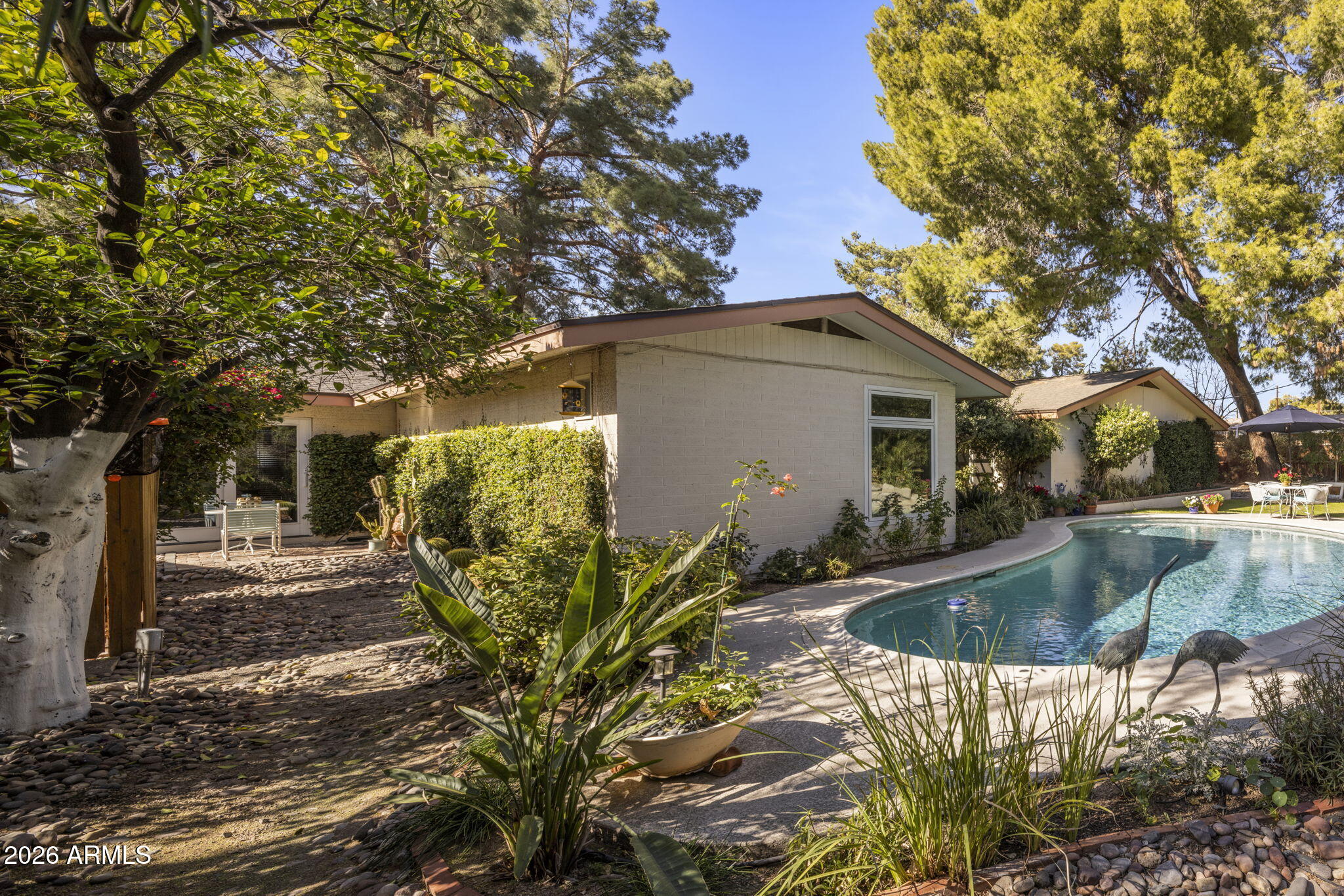 3611 North 53rd Street Phoenix, AZ 85018 - Photo 35 of 43 Stunning Landscaping