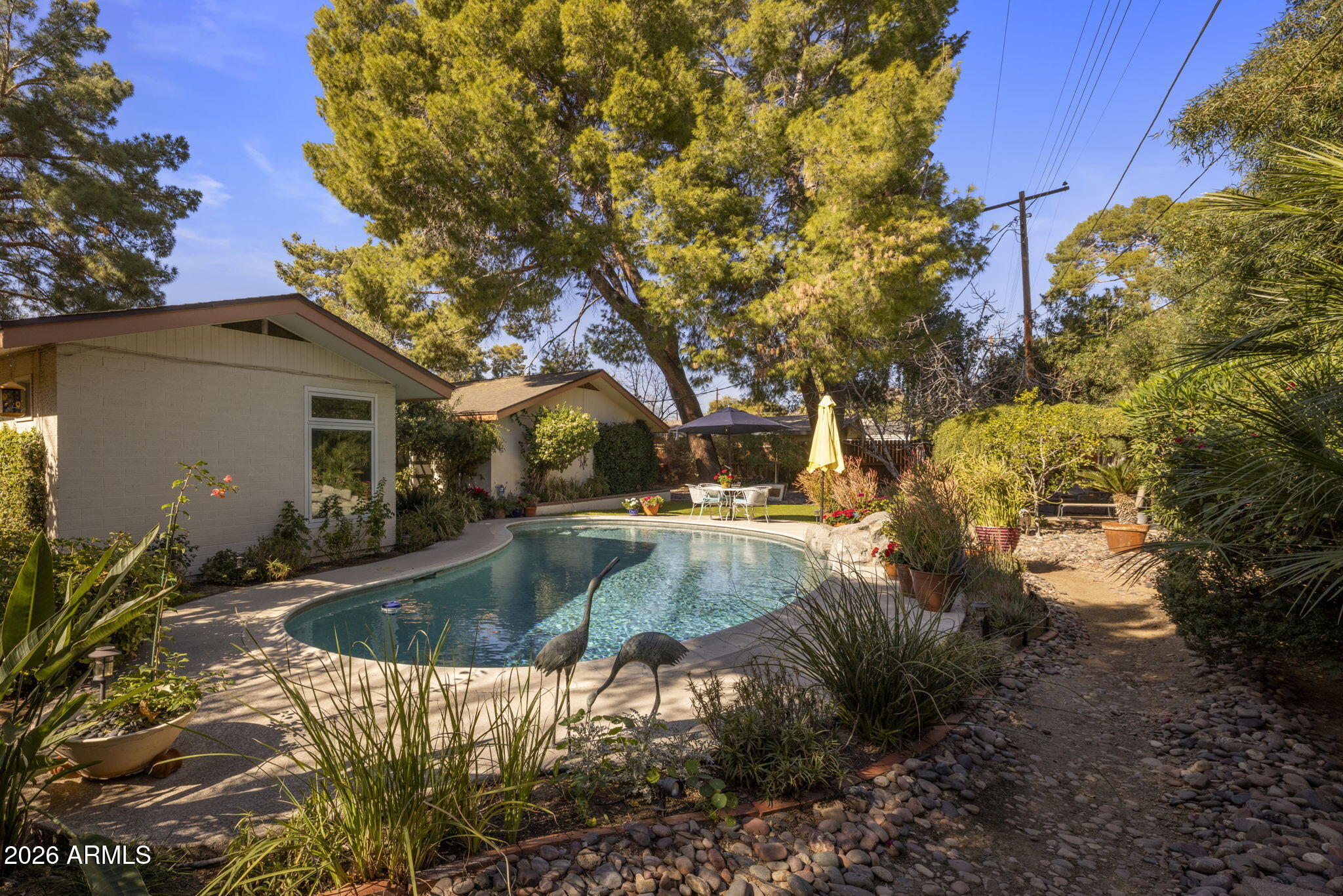 3611 North 53rd Street Phoenix, AZ 85018 - Photo 37 of 43 Beautifully Design Yard
