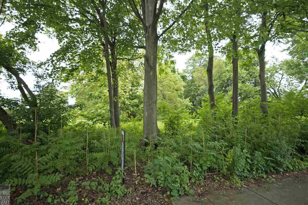 845 Bishop Road Grosse Pointe Park, MI 48230 - Photo 3 of 5