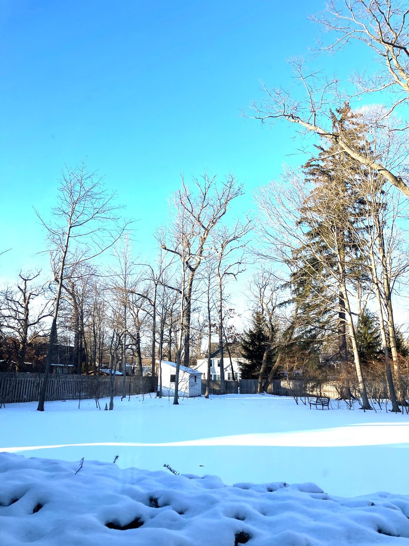 544 Ravine Avenue Lake Bluff, IL 60044 - Photo 28 of 29