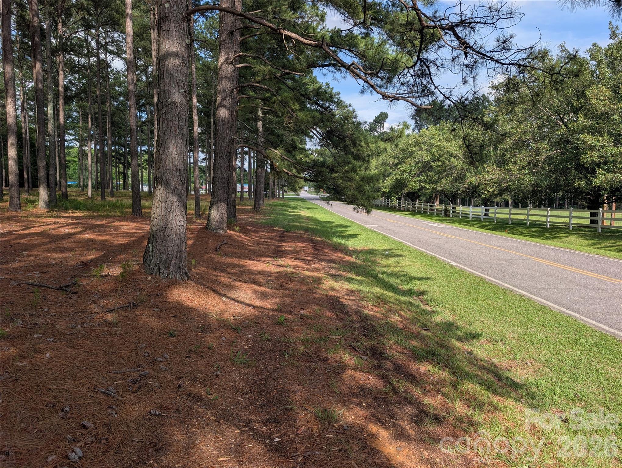 0 Blessed Hope Road, Unit TRACT 2 York, SC 29745 - Photo 3 of 5 a view of a yard with palm trees