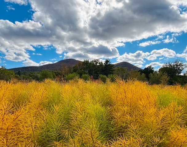 $2,400 | 520 State Road, Unit 205, North Adams, MA 01247