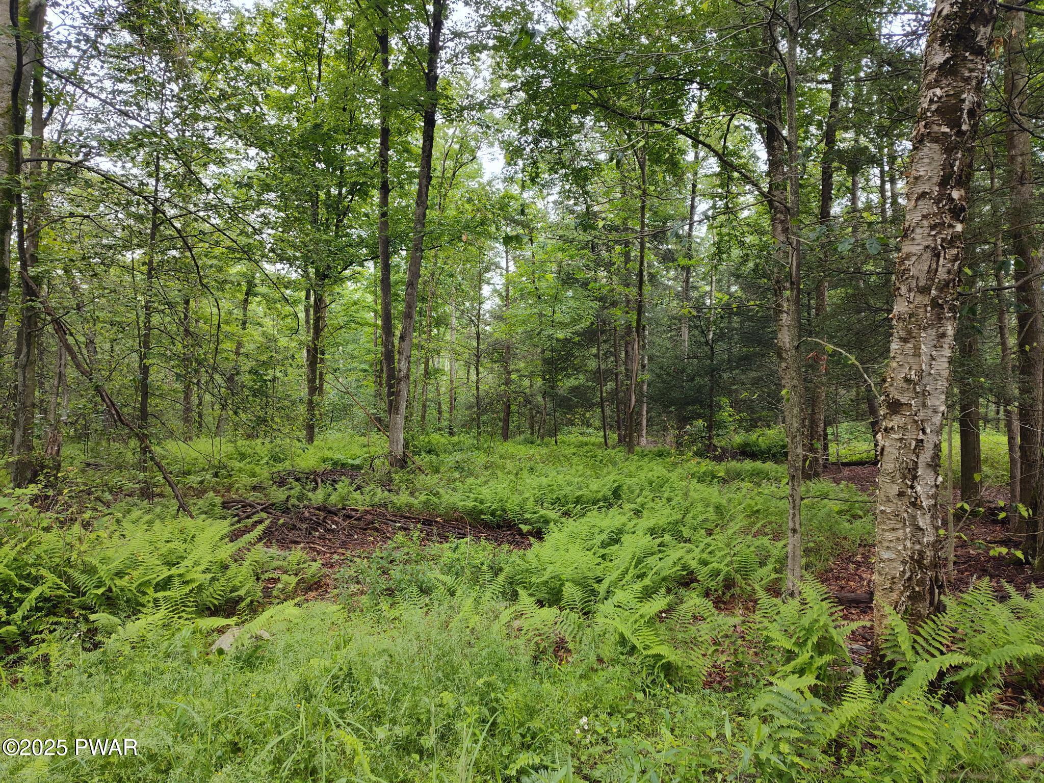Lot 109 Aka) Gibralter Road Newfoundland, PA 18445 - Photo 8 of 19