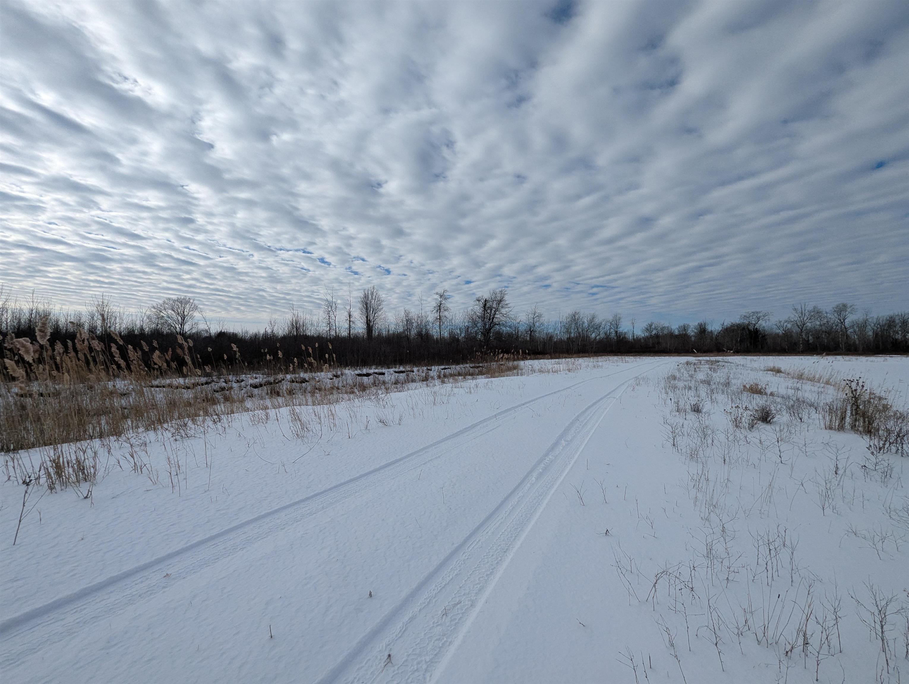 N/a Swenson Road Au Gres, MI 48703 - Photo 15 of 15