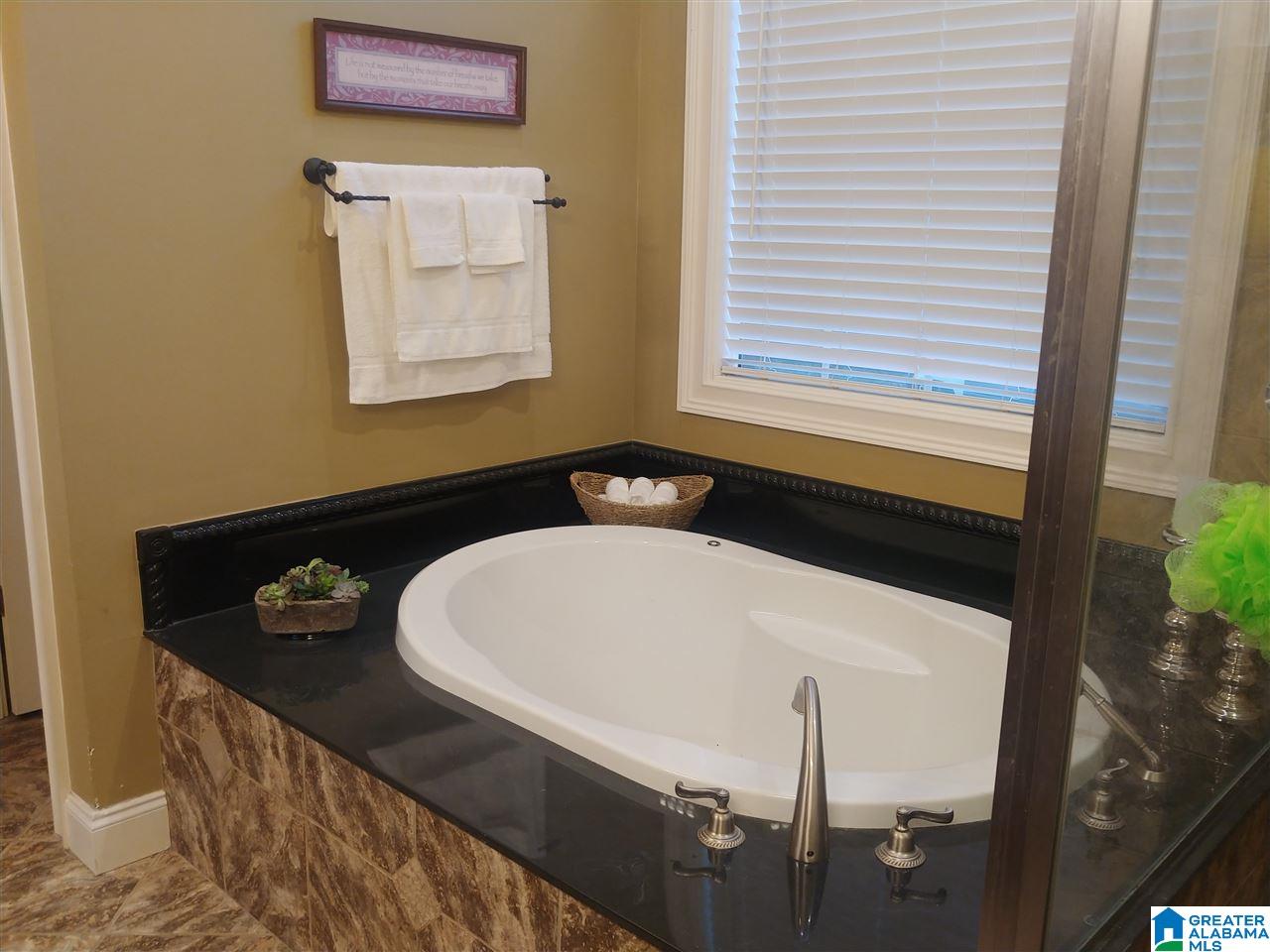235 Hunter Ridge Lane Pell City, AL 35128 - Photo 22 of 31