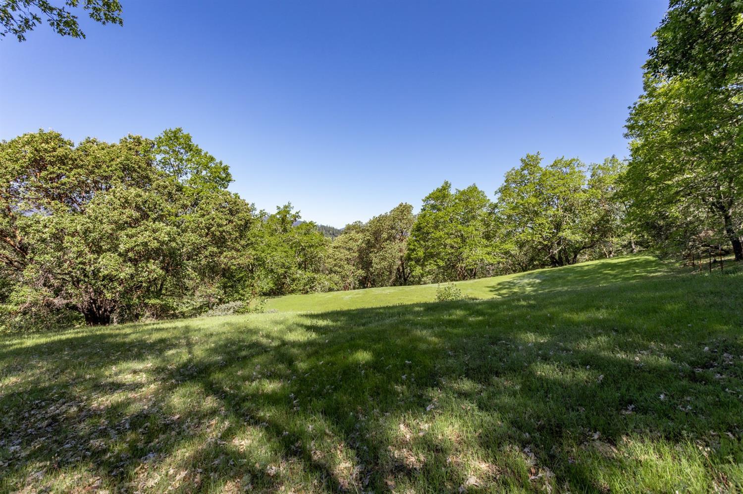 Tl100 Lower River Road Grants Pass, OR 97526 - Photo 27 of 35 a yard with lots of green space