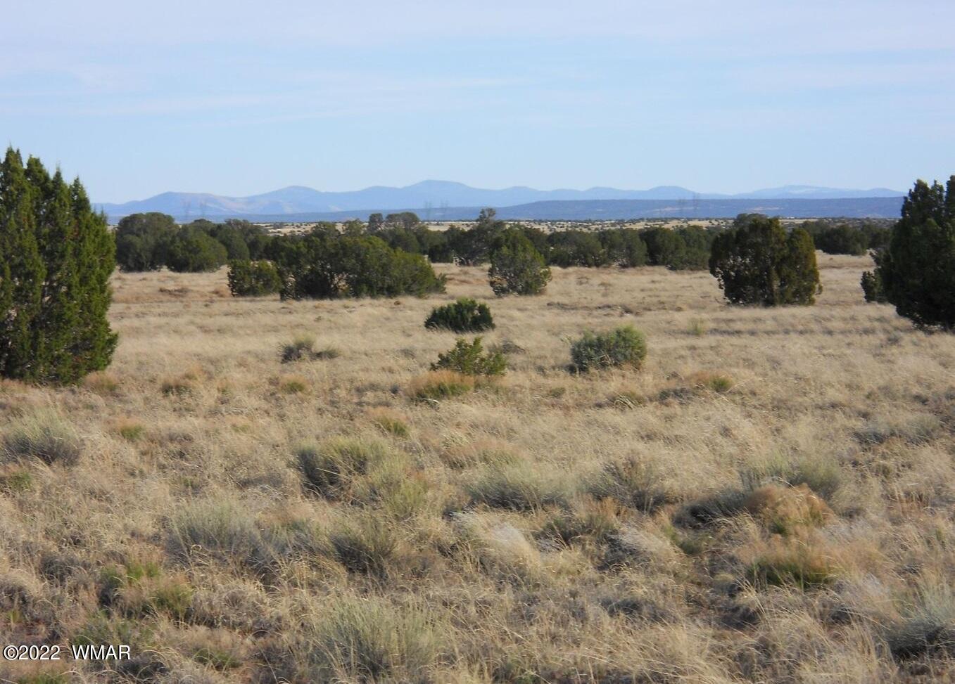 19 County Road Concho, AZ 85924 - Photo 1 of 7 open field