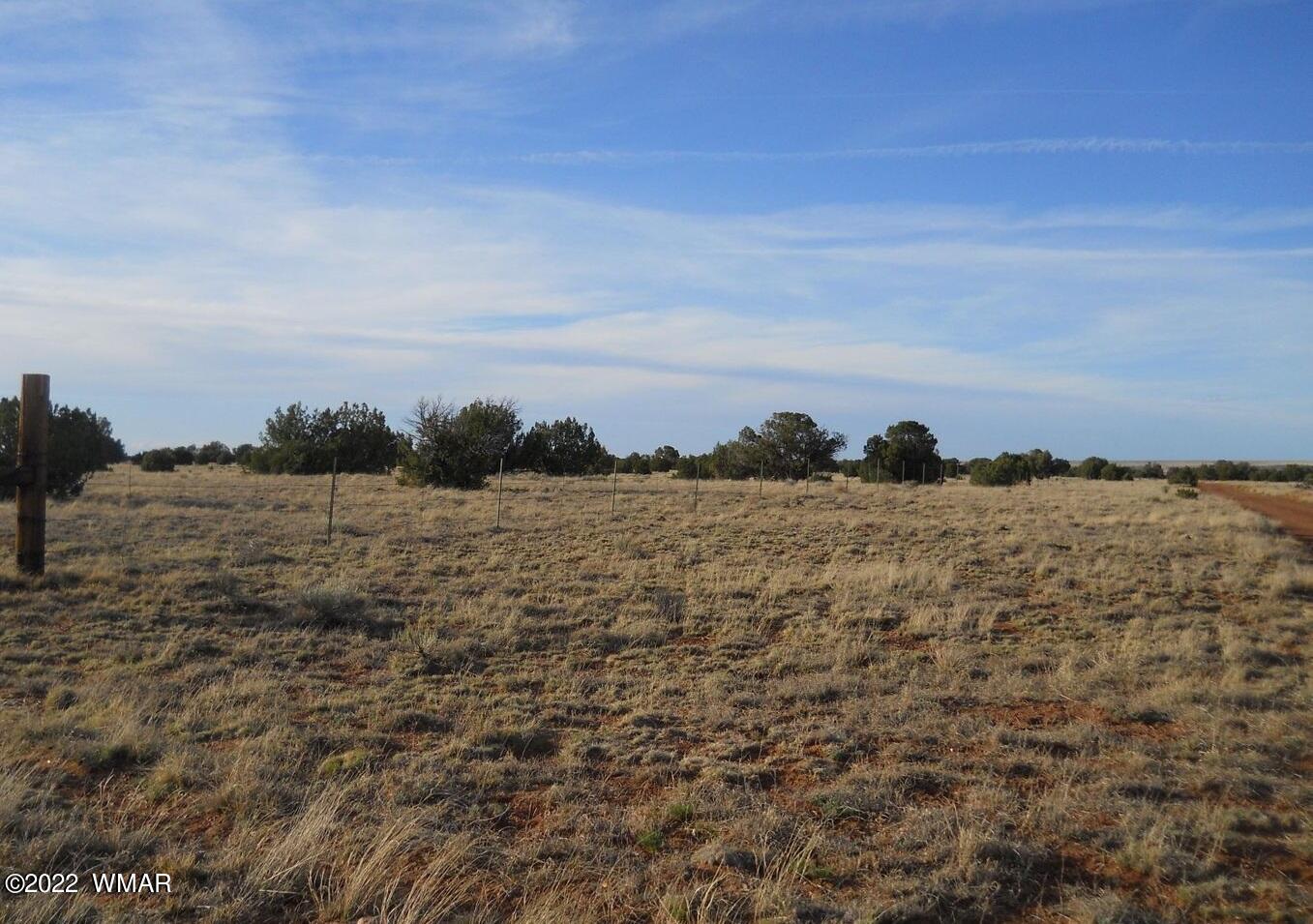 19 County Road Concho, AZ 85924 - Photo 2 of 7 93904