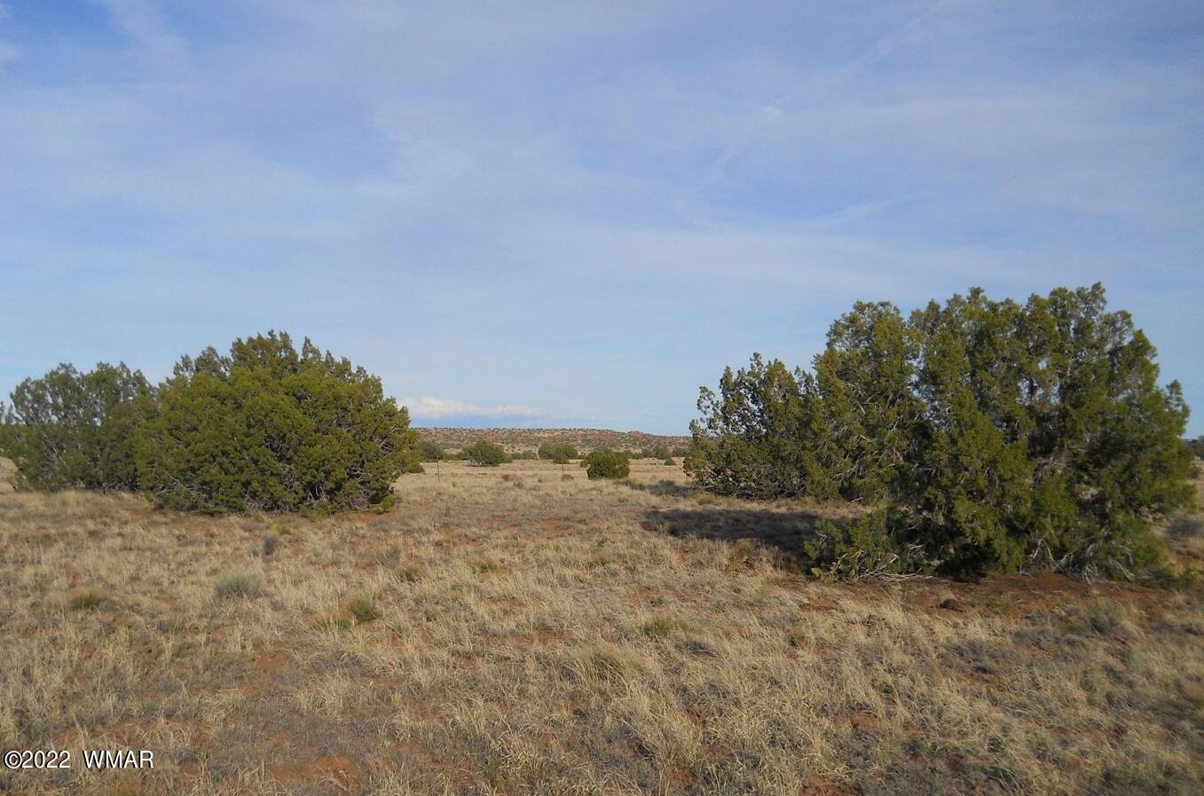 19 County Road Concho, AZ 85924 - Photo 3 of 7 93903