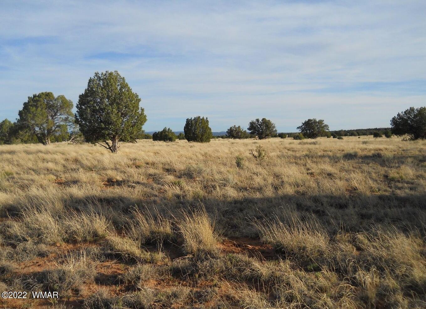 19 County Road Concho, AZ 85924 - Photo 4 of 7 93902