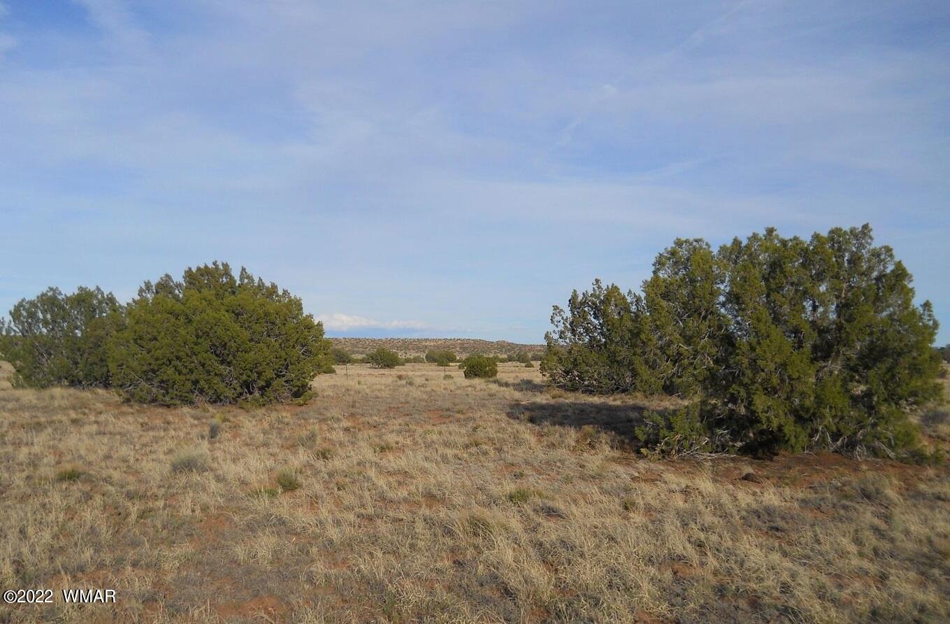 19 County Road Concho, AZ 85924 - Photo 5 of 7 93901