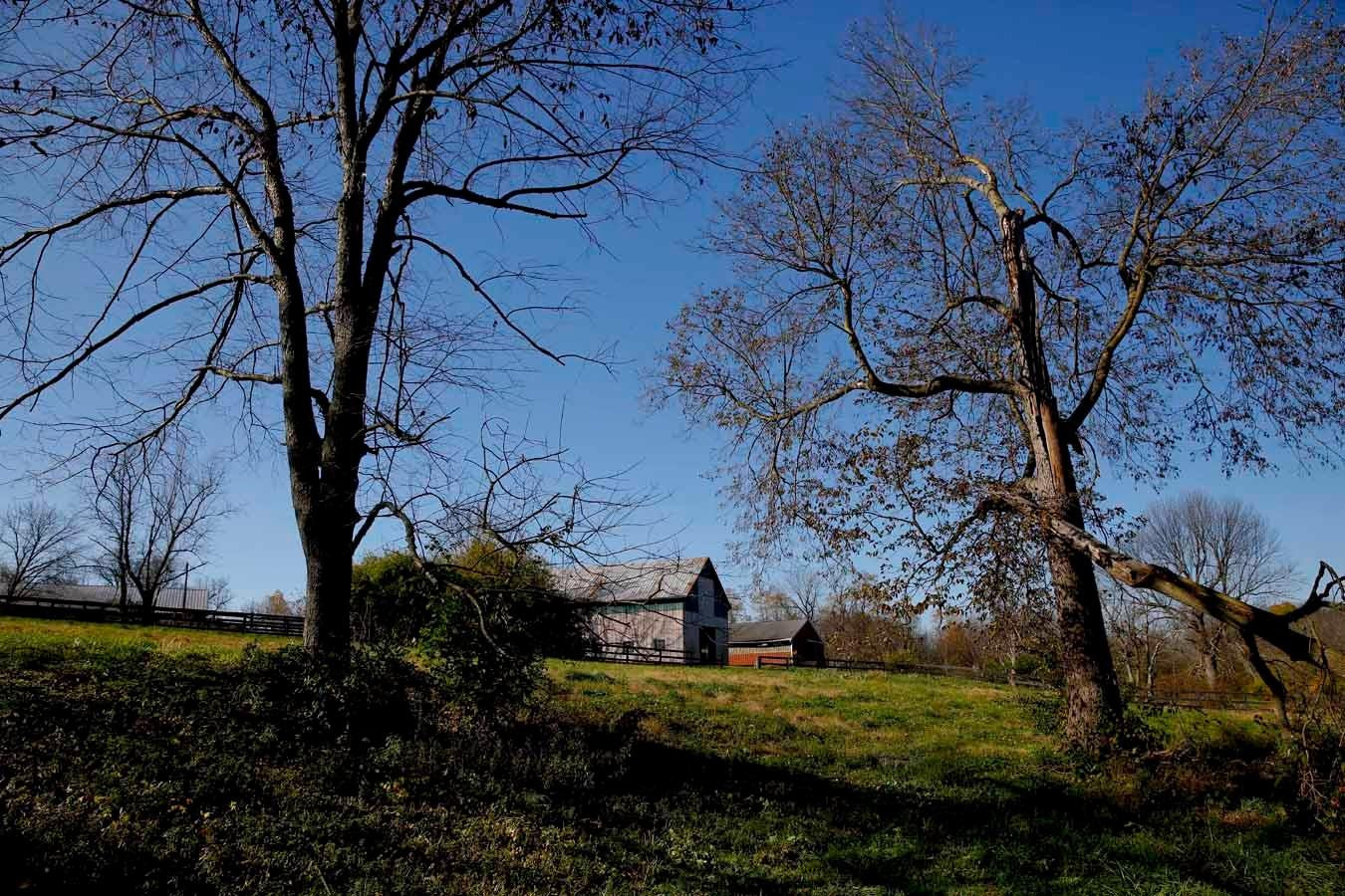 3263 North Cleveland Road Lexington, KY 40516 - Photo 22 of 93 Photo 22