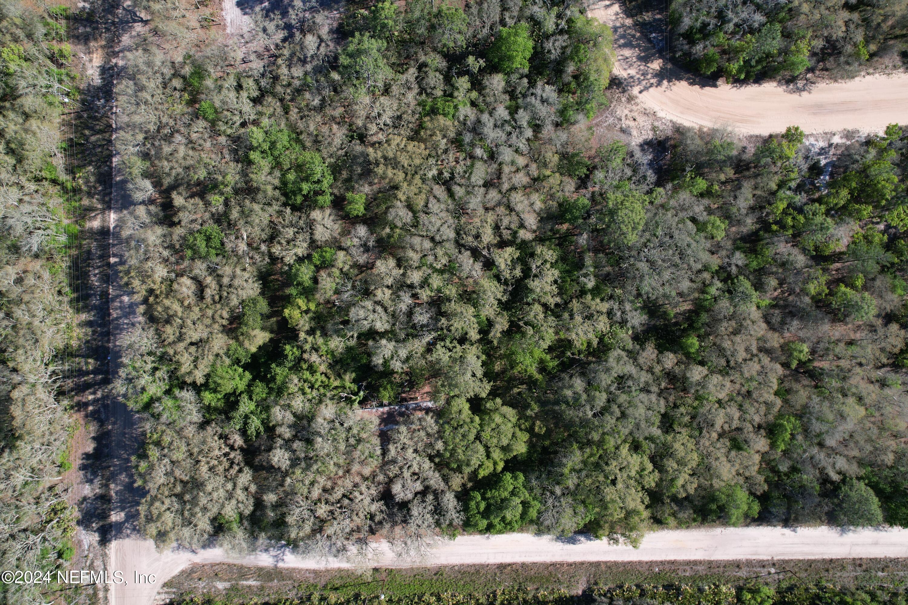 113 Brian Road Interlachen, FL 32148 - Photo 3 of 25 2
