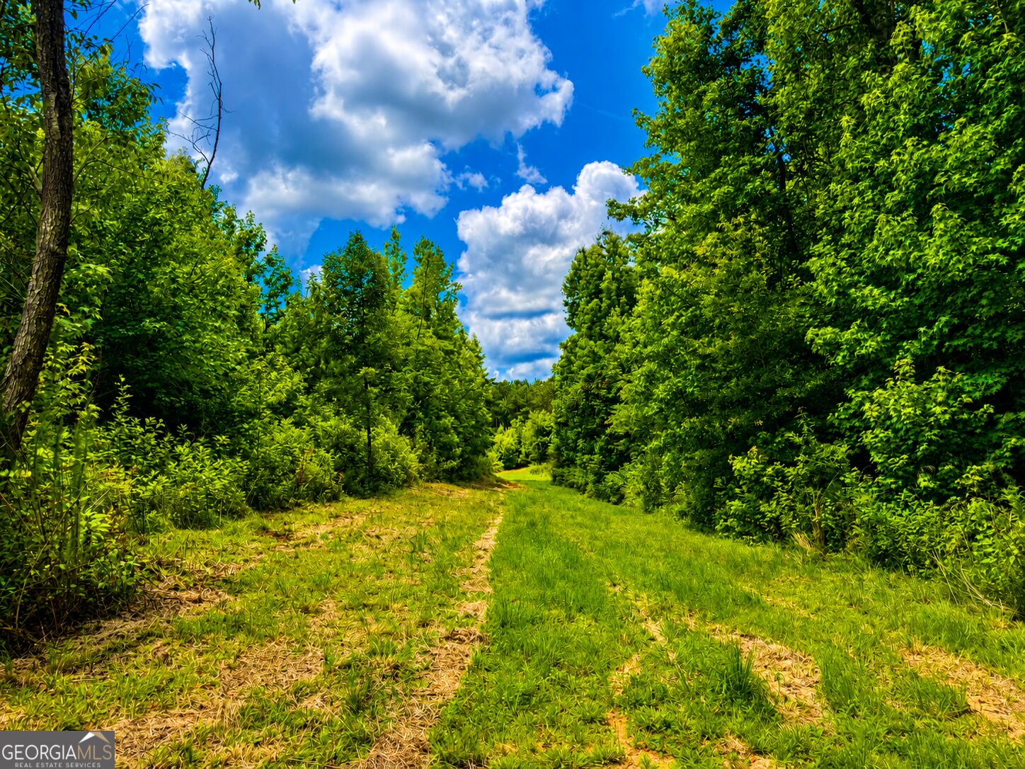 29-acres Cochran Road Madison, GA 30650 - Photo 13 of 23 Gallery Image 13