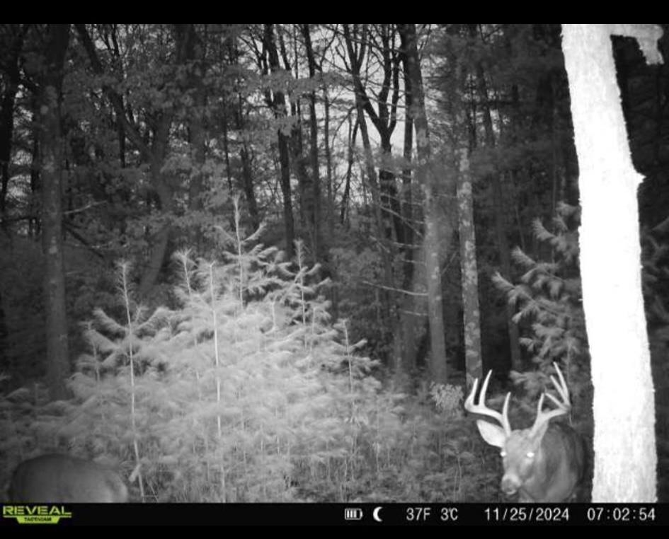 699 County Rd J Friendship, WI 53934 - Photo 2 of 65