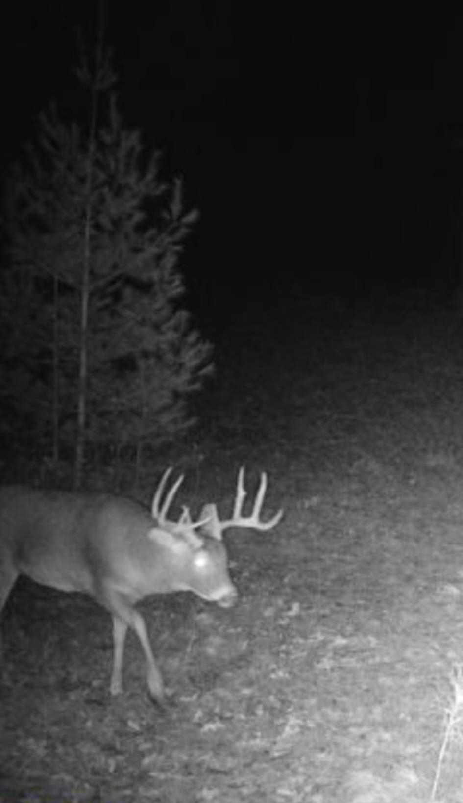 699 County Rd J Friendship, WI 53934 - Photo 3 of 65