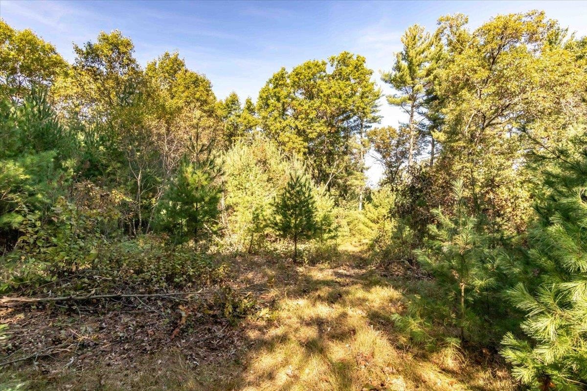 699 County Rd J Friendship, WI 53934 - Photo 36 of 65