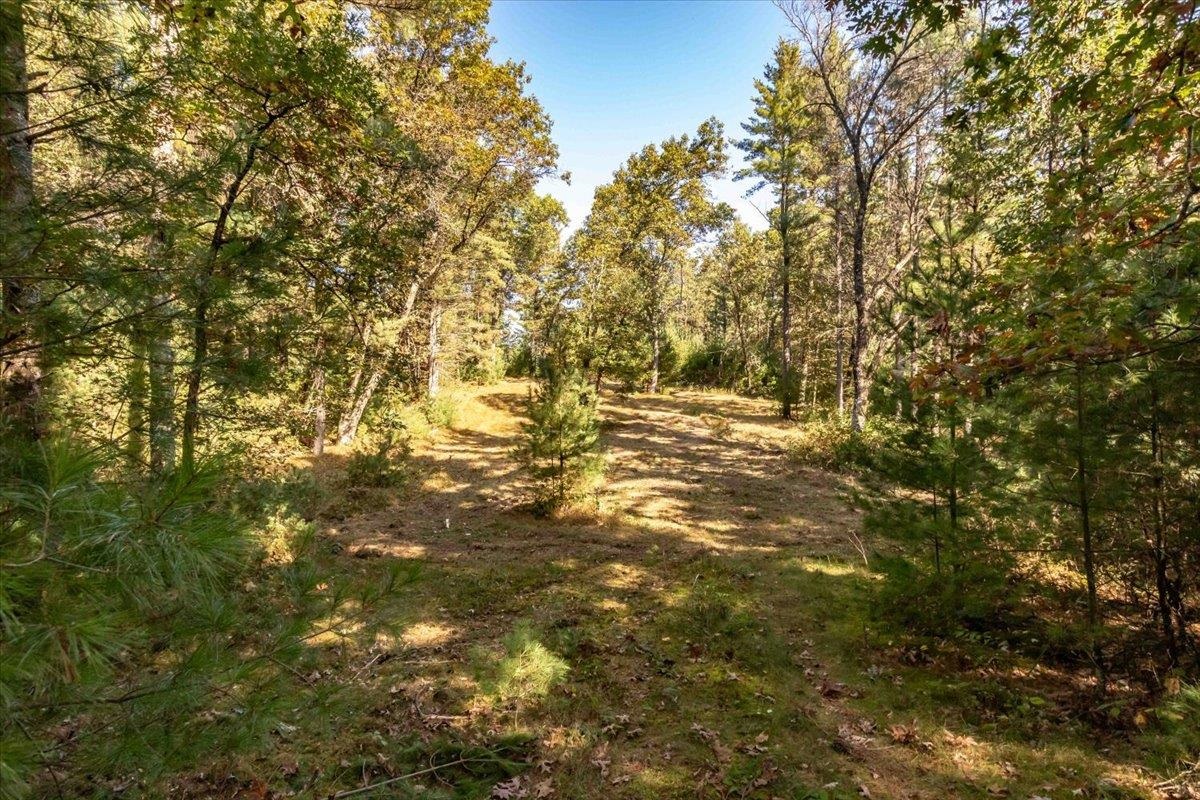 699 County Rd J Friendship, WI 53934 - Photo 37 of 65