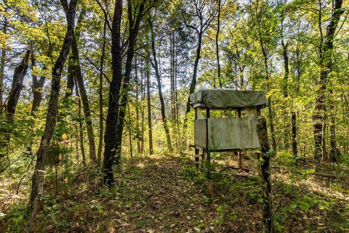 699 County Rd J Friendship, WI 53934 - Photo 39 of 65