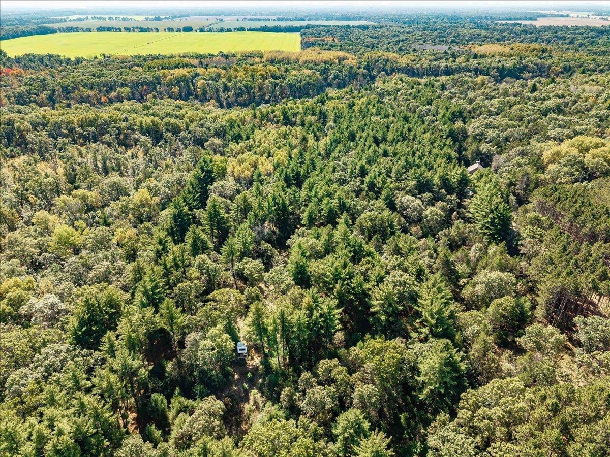 699 County Rd J Friendship, WI 53934 - Photo 52 of 65