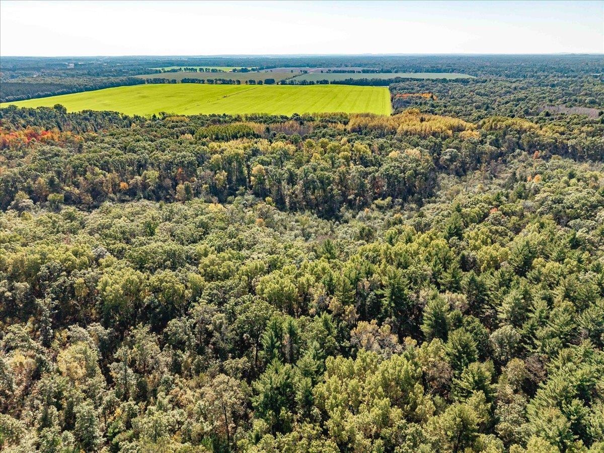 699 County Rd J Friendship, WI 53934 - Photo 55 of 65