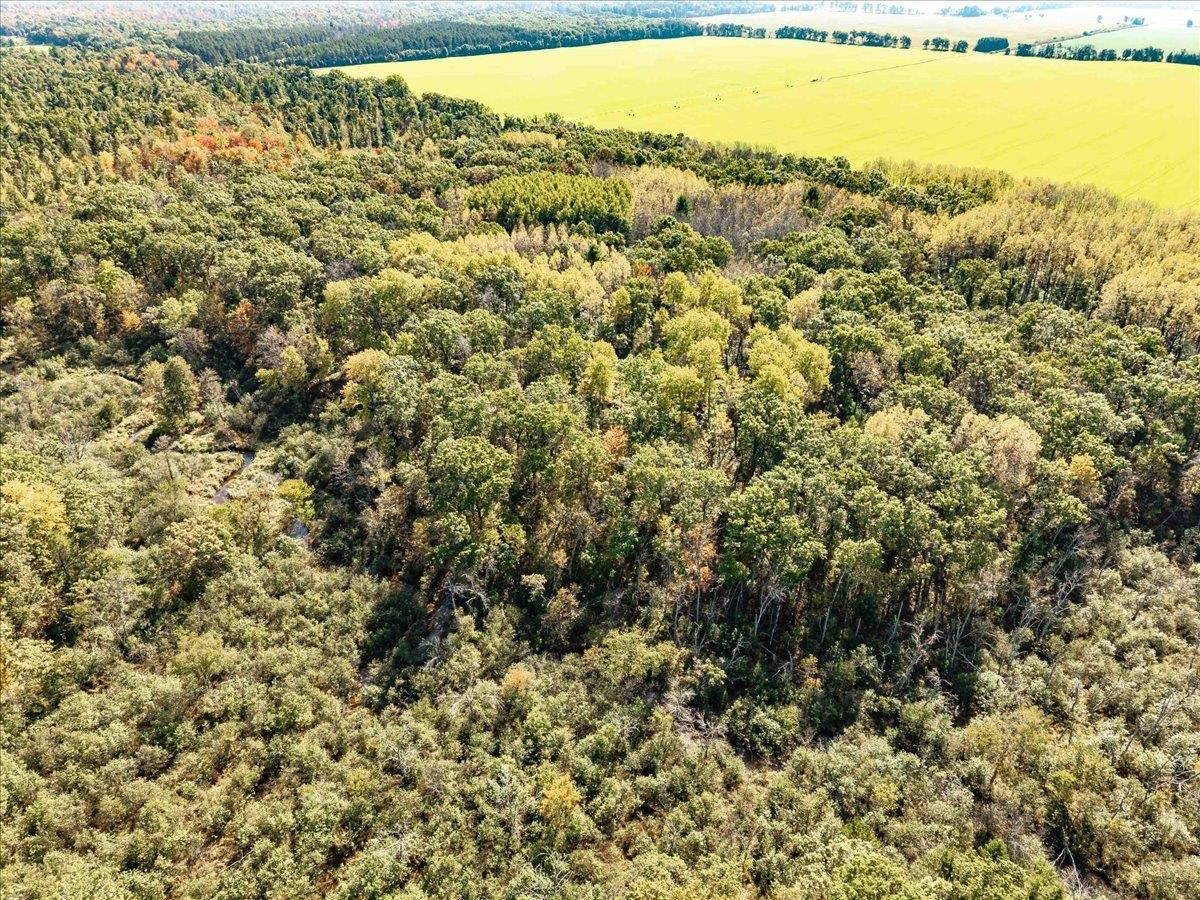 699 County Rd J Friendship, WI 53934 - Photo 56 of 65