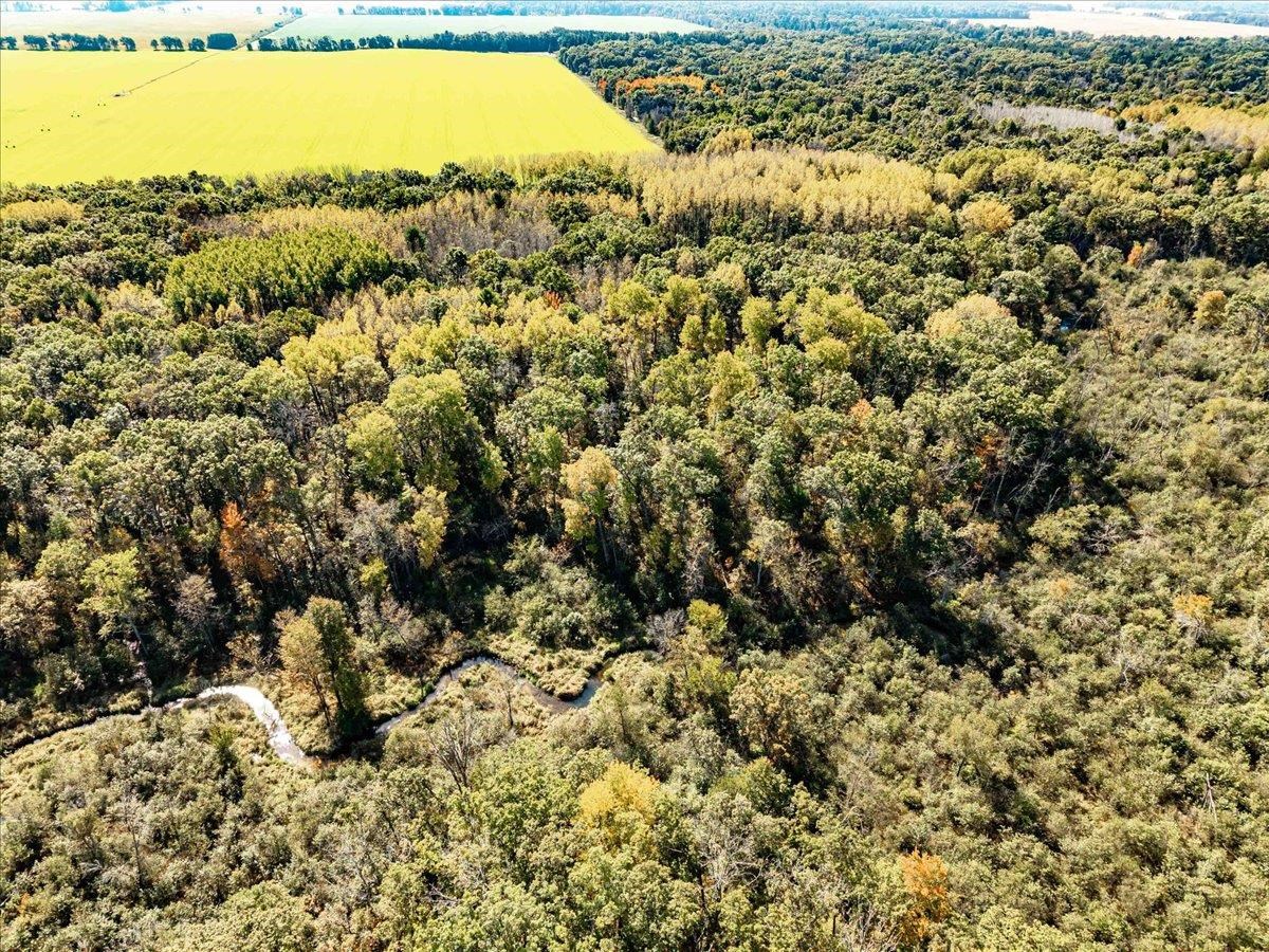 699 County Rd J Friendship, WI 53934 - Photo 57 of 65