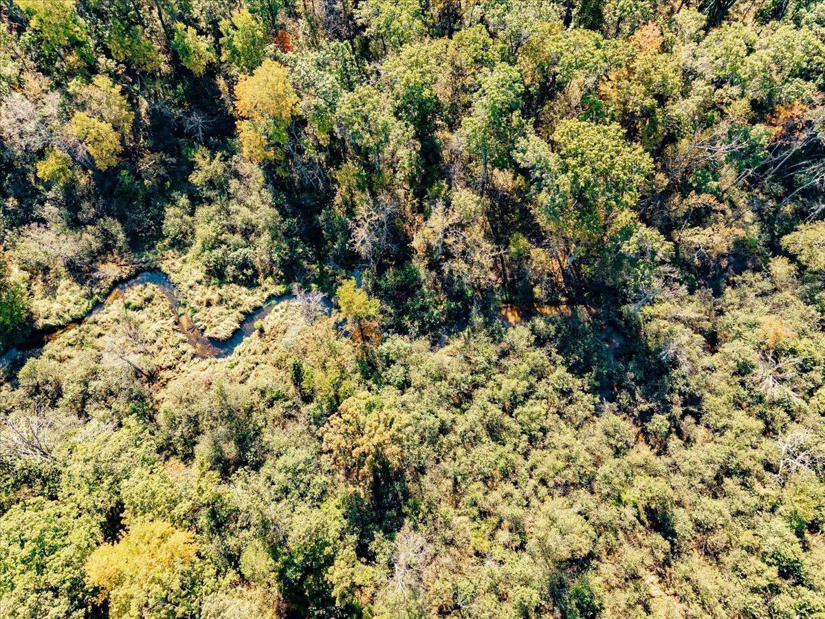 699 County Rd J Friendship, WI 53934 - Photo 58 of 65