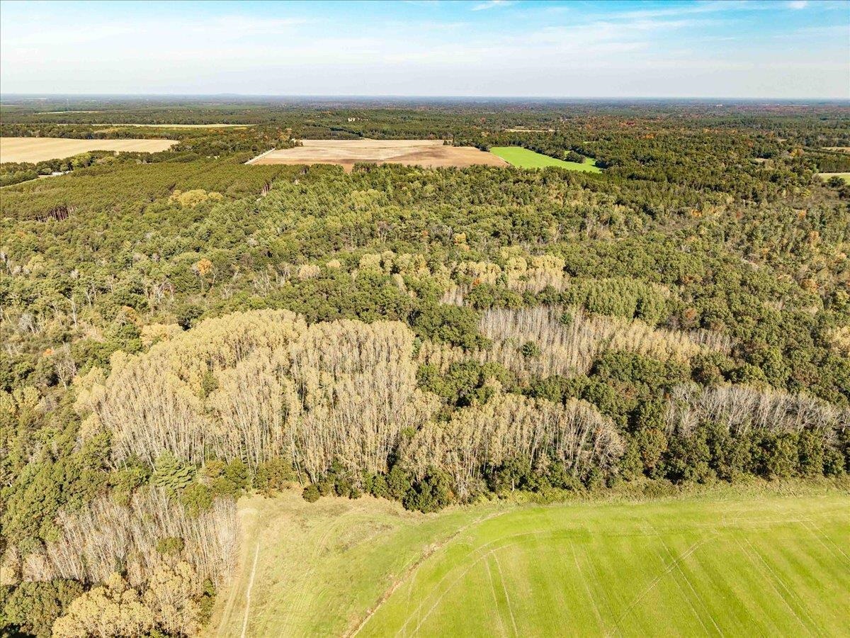 699 County Rd J Friendship, WI 53934 - Photo 60 of 65