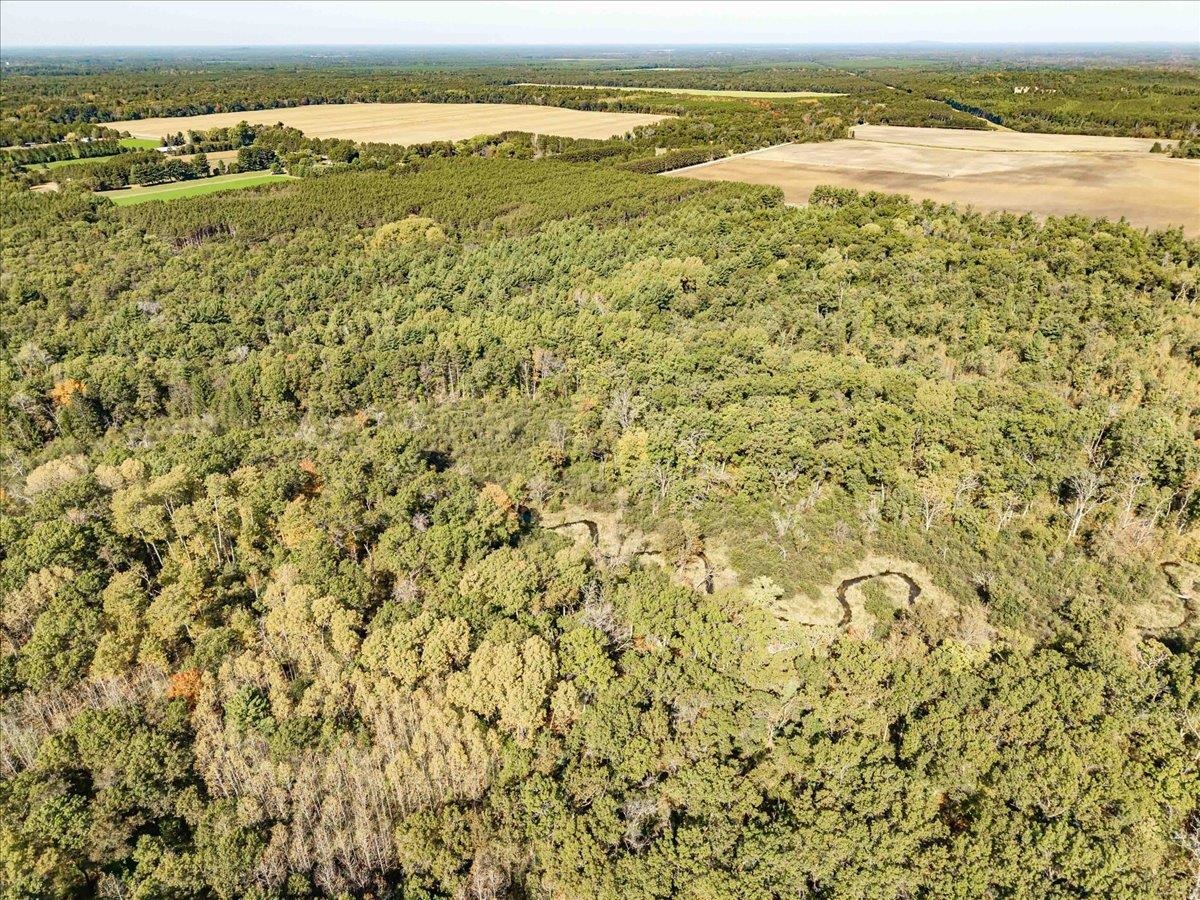 699 County Rd J Friendship, WI 53934 - Photo 62 of 65