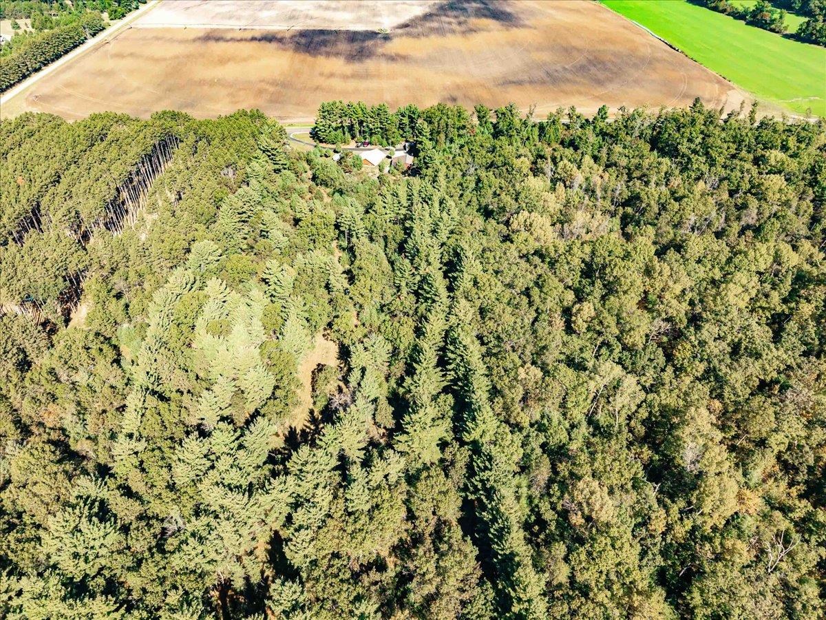 699 County Rd J Friendship, WI 53934 - Photo 63 of 65