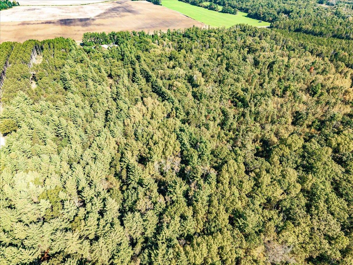 699 County Rd J Friendship, WI 53934 - Photo 65 of 65